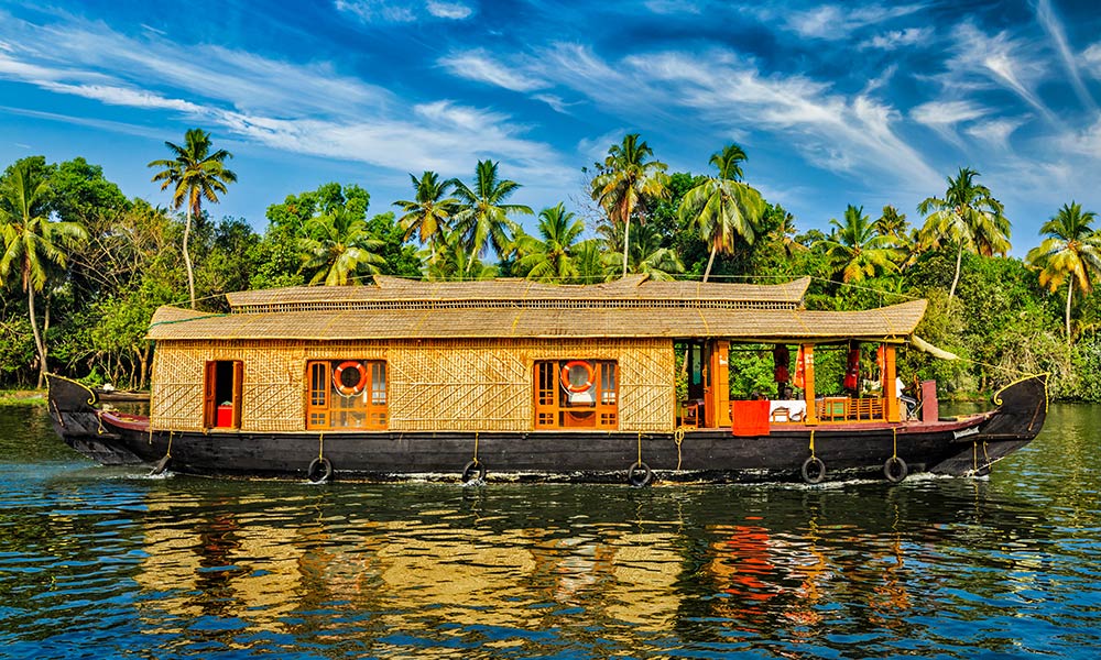 Kerala Enchanting Hills & Backwaters Tour - slide 2