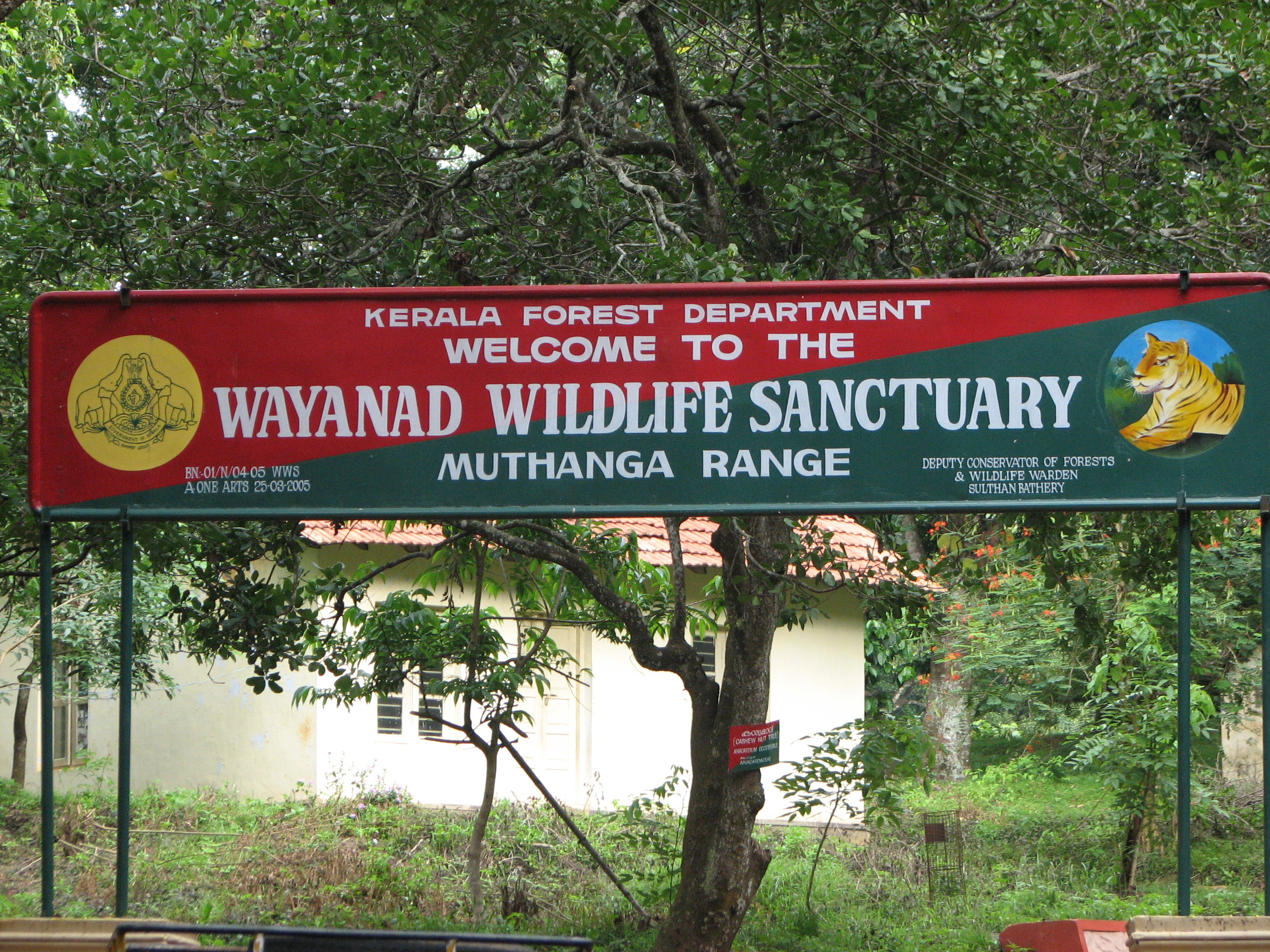 Wayanad Wildlife & Ancient Tribal Trails Adventure - slide 2