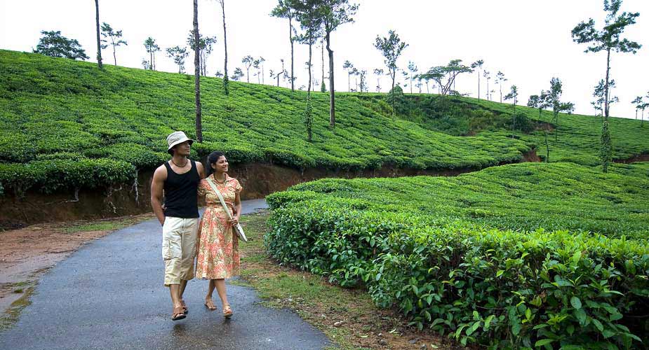 Coorg Scotland of India Coffee Plantation & Waterfalls Retreat - slide 3