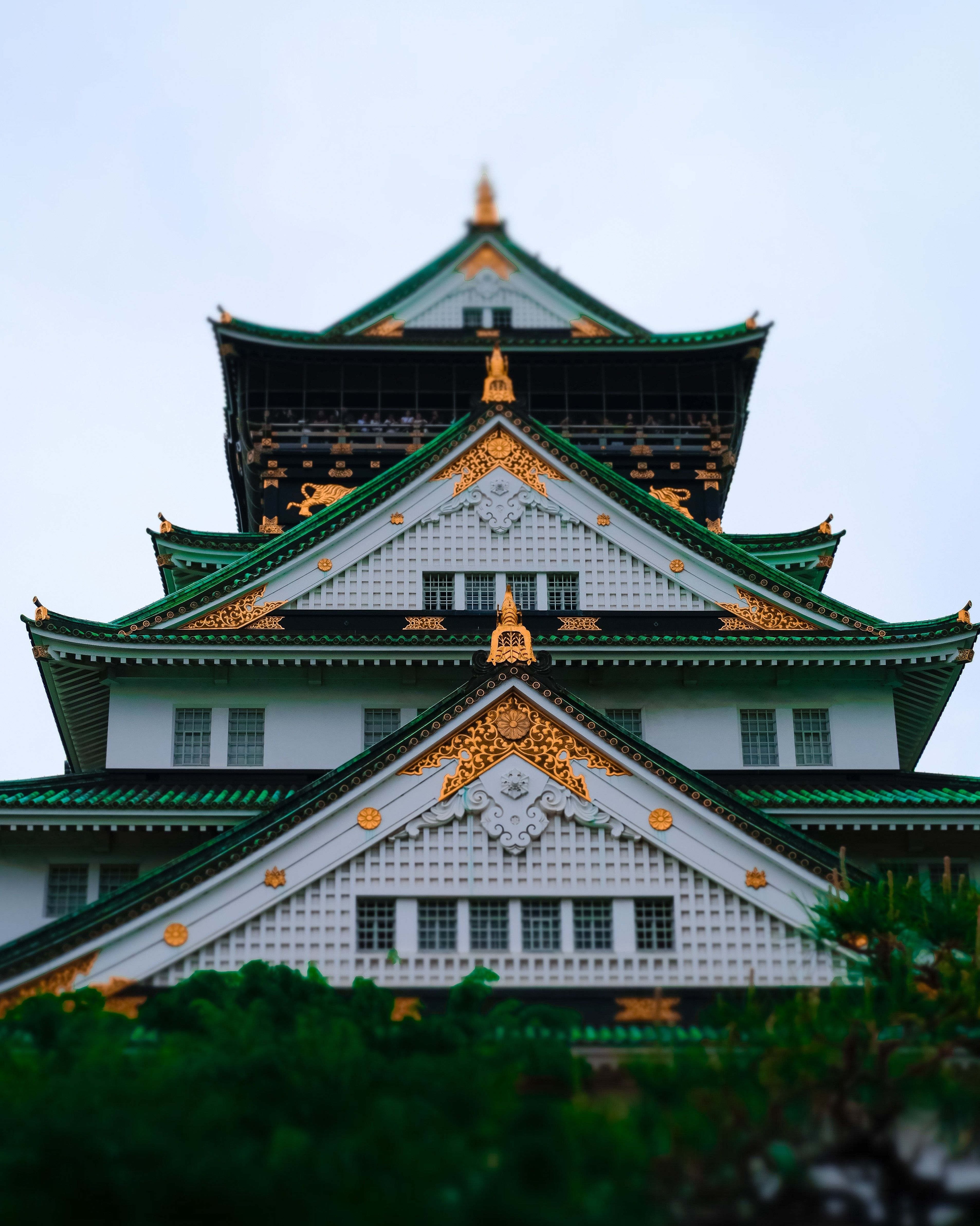 Cherry Blossoms & Historic Pagodas