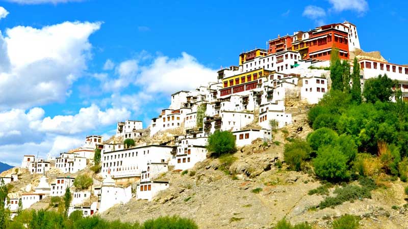 Ladakh Monastery & Culture Tour