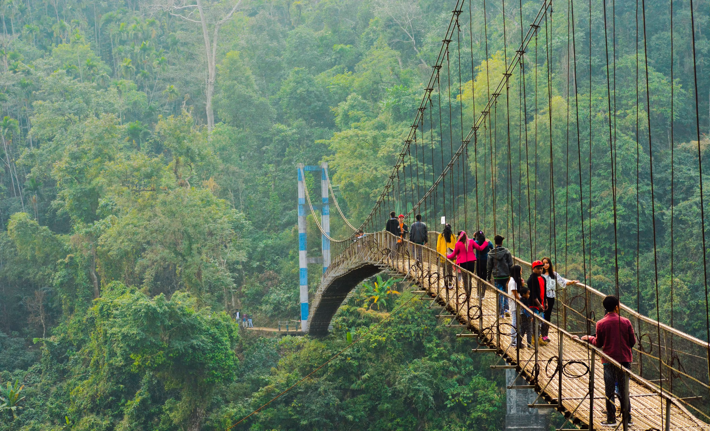 Meghalaya Abode of Clouds & Living Root Bridges
