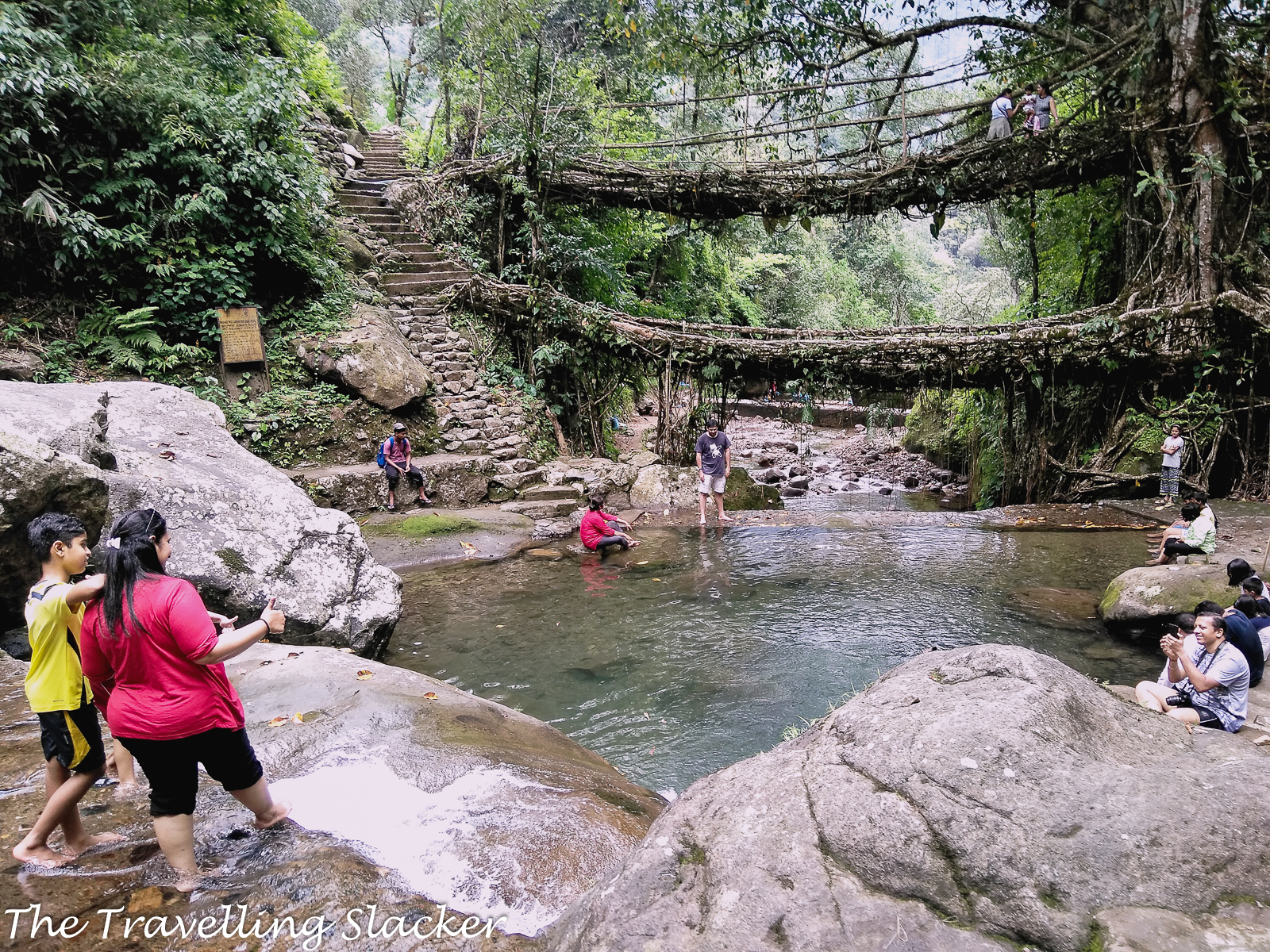 Nongriat Double Decker Living Root Bridge & Rainbow Falls Trekking Expedition