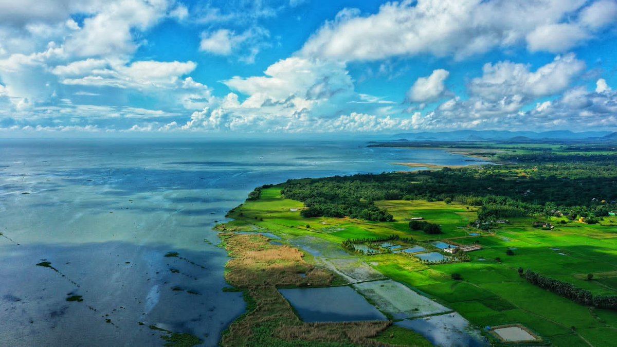 Chilika Lake Asia’s Largest Lagoon & Irrawaddy Dolphins Safari