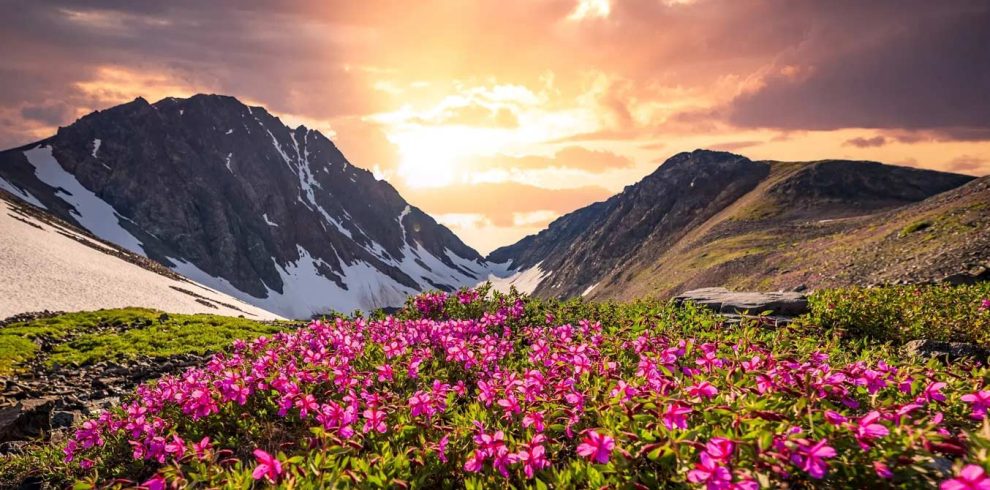 UNESCO Alpine Botanical Paradise